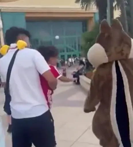 ราฟินญ่า กล่าวหาดิสนีย์แลนด์เหยียดผิว หลังมาสคอต 'เมิน' ลูกชายเขา